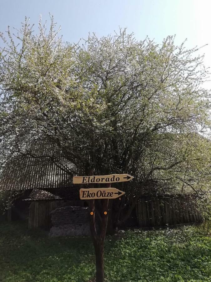 PērkoneEko Oaze别墅 外观 照片